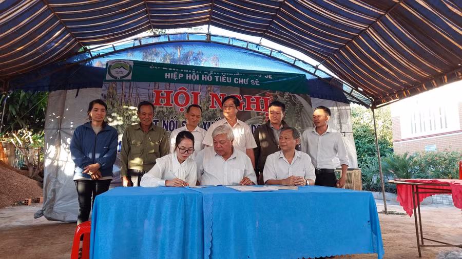Chi hội hồ tiêu 2 xã Bar Măih và Bờ Ngoong ký biên bản ghi nhớ với doanh nghiệp thu mua hồ tiêu trong vụ mùa 2023-2024. Ảnh: Nguyễn Diệp