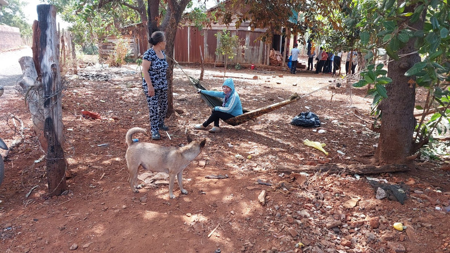 Nuôi chó thả rông tại xã Ia Kriêng (huyện Đức Cơ). Ảnh: Nguyễn Diệp