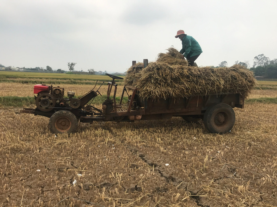 Hạn hán gây thiệt hại trong vụ Đông Xuân 2022-2023. Ảnh: Nguyễn Diệp Hạn hán gây thiệt hại trong vụ Đông Xuân 2022-2023. Ảnh: Nguyễn Diệp