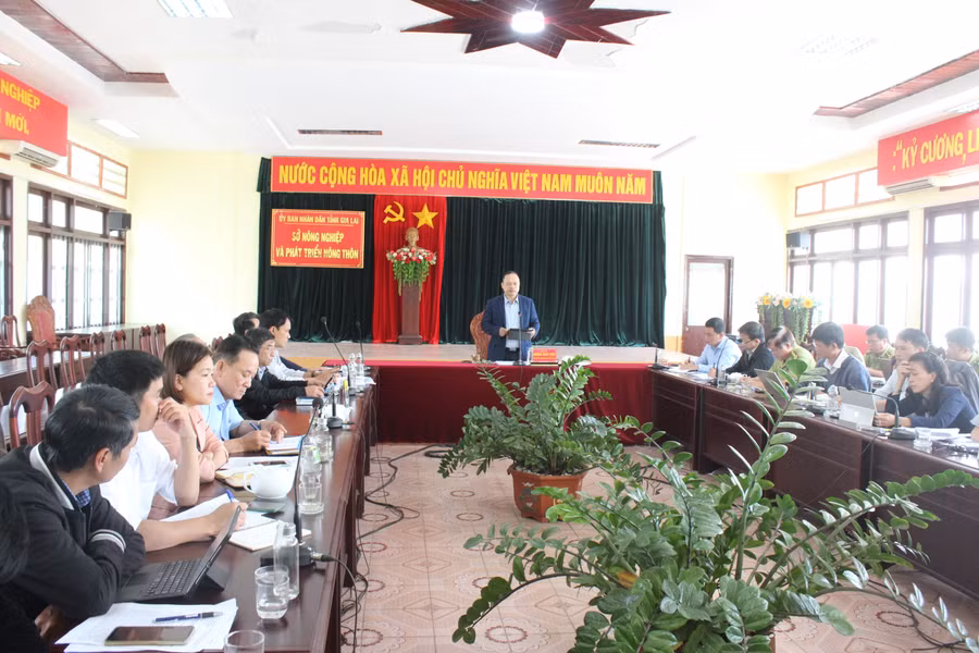 Phó Chủ tịch UBND tỉnh Dương Mah Tiệp phát biểu kết luận cuộc họp. Ảnh: Nguyễn Diệp