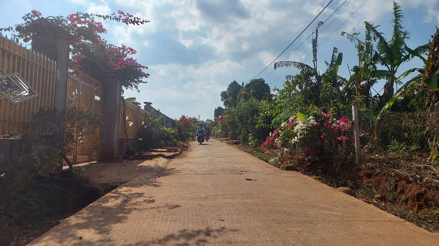 Hoa xuân rực rỡ bên những tuyến đường bê tông hóa nội làng. Ảnh: Nguyễn Diệp Hoa xuân rực rỡ bên những tuyến đường bê tông hóa nội làng. Ảnh: Nguyễn Diệp