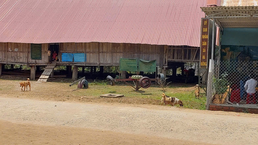Nuôi chó thả rông tại xã Hà Đông ( huyện Đak Đoa). Ảnh: Nguyễn Diệp Nuôi chó thả rông tại xã Hà Đông ( huyện Đak Đoa). Ảnh: Nguyễn Diệp