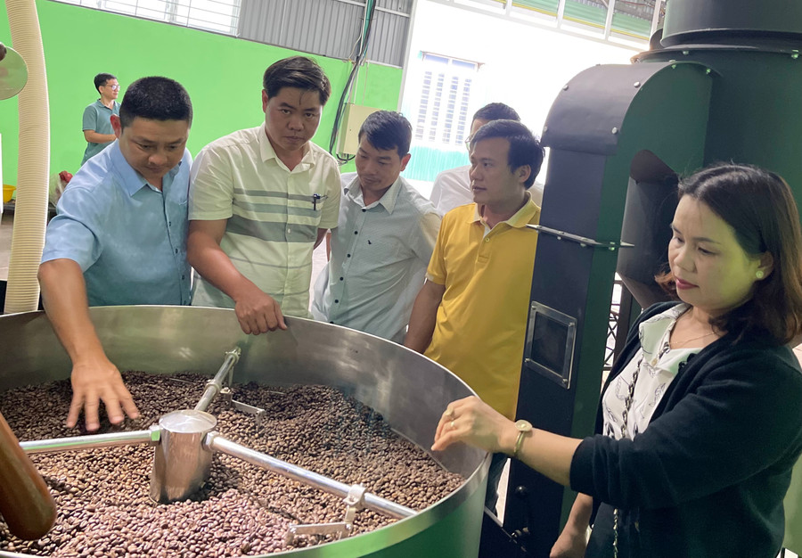 Quy mô Đề án gồm máy rang cà phê model VNRBRO30, mới 100%, có xuất xứ tại Việt Nam, công suất 30 kg/mẻ. Ảnh: V.T