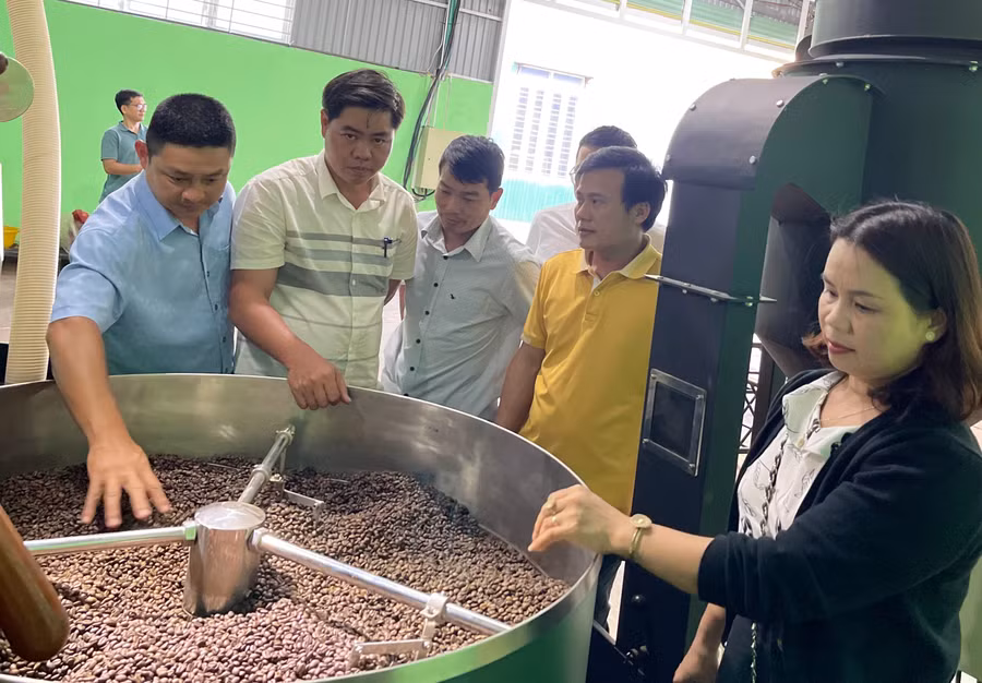 Quy mô Đề án gồm máy rang cà phê model VNRBRO30, mới 100%, có xuất xứ tại Việt Nam, công suất 30 kg/mẻ. Ảnh: V.T