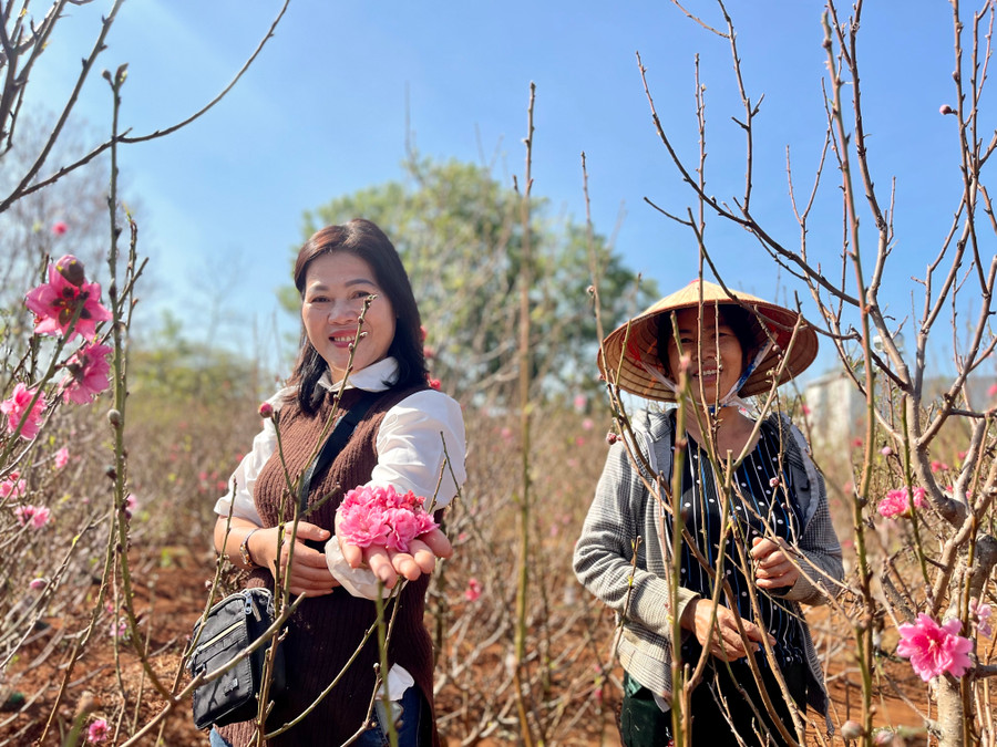 Ảnh: Vũ Thảo Ảnh: Vũ Thảo