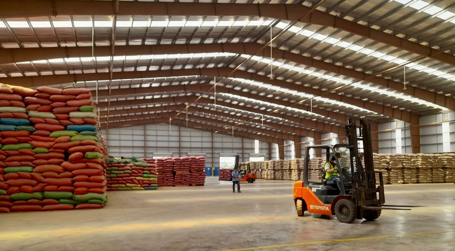 Cà phê là mặt hàng xuất khẩu chủ lực của tỉnh. Ảnh: V.T