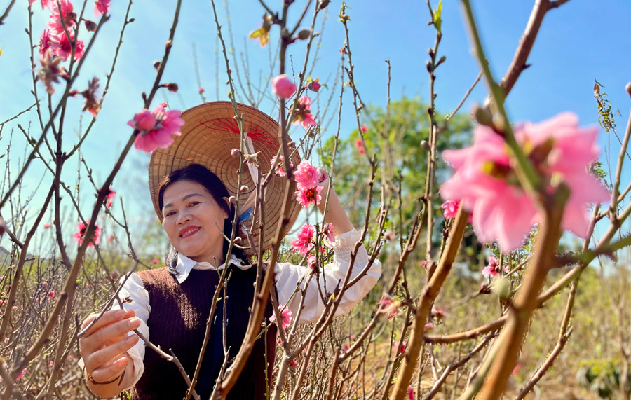 Ảnh: Vũ Thảo Ảnh: Vũ Thảo