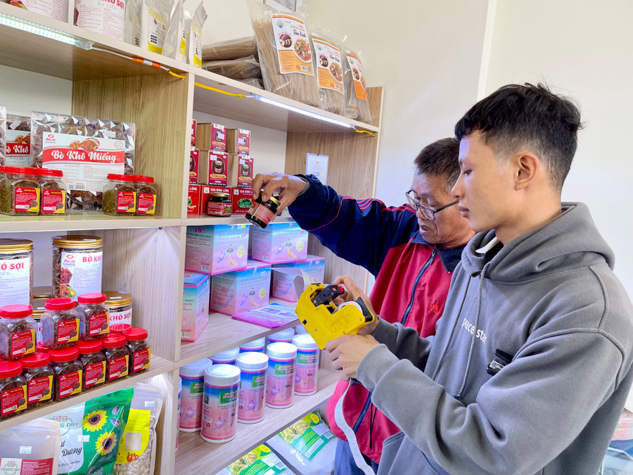 Nhiều HTXNN đã ứng dụng khoa học-công nghệ trong sản xuất và chế biến các sản phẩm dược liệu. Ảnh: Vũ Thảo