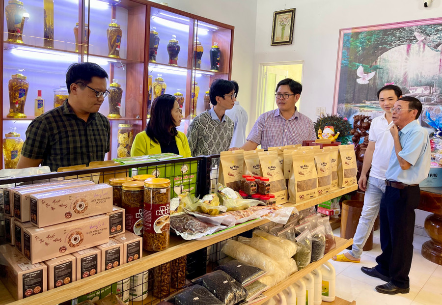 Tổng sản phẩm OCOP còn trong hạn sử dụng nhãn hiệu OCOP là 305 sản phẩm. Ảnh V.T Tổng sản phẩm OCOP còn trong hạn sử dụng nhãn hiệu OCOP là 305 sản phẩm. Ảnh V.T