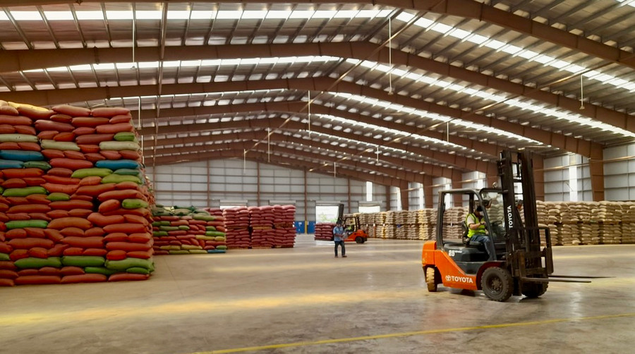 Cà phê đang là mặt hàng xuất khẩu chiếm tỷ trọng hơn 80% tổng kim ngạch xuất khẩu toàn tỉnh. Ảnh: V.T Cà phê đang là mặt hàng xuất khẩu chiếm tỷ trọng hơn 80% tổng kim ngạch xuất khẩu toàn tỉnh. Ảnh: V.T