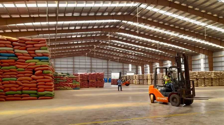 Cà phê đang là mặt hàng xuất khẩu chiếm tỷ trọng hơn 80% tổng kim ngạch xuất khẩu toàn tỉnh. Ảnh: V.T