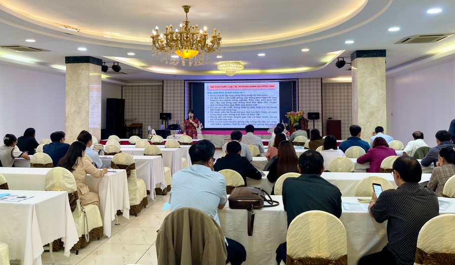 Quang cảnh lớp tập huấn. Ảnh: V.T Quang cảnh lớp tập huấn. Ảnh: V.T