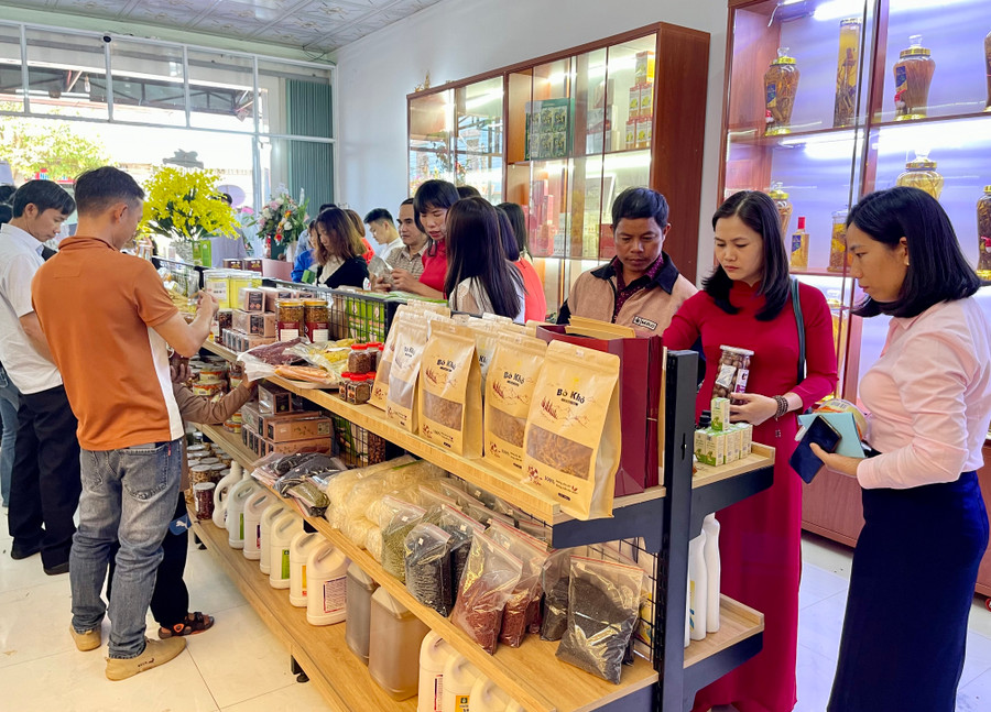 Việc phát triển các điểm bán hàng Việt trong tỉnh sẽ hỗ trợ doanh nghiệp, hợp tác xã, hộ sản xuất tiếp cận gần hơn với người tiêu dùng và đẩy mạnh tiêu thụ sản phẩm. Ảnh: V.T