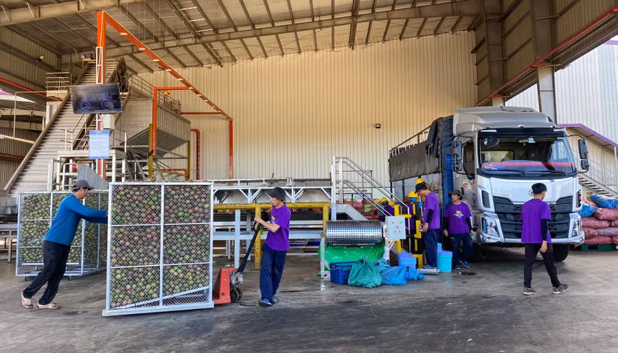 Chế biến sản phẩm từ chanh dây ở Quicornac. Ảnh: Hà Duy