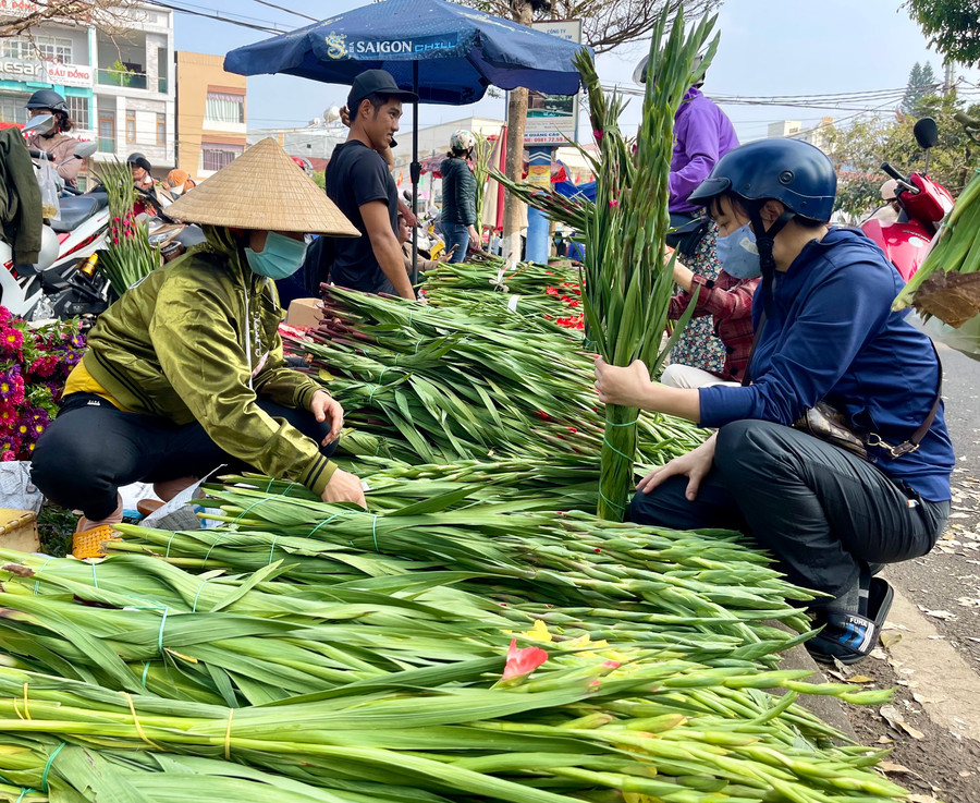 Các nhà vườn tranh thủ đem hoa lay ơn ra chợ bán trong ngày 29 Tết. Ảnh: Vũ Thảo Các nhà vườn tranh thủ đem hoa lay ơn ra chợ bán trong ngày 29 Tết. Ảnh: Vũ Thảo
