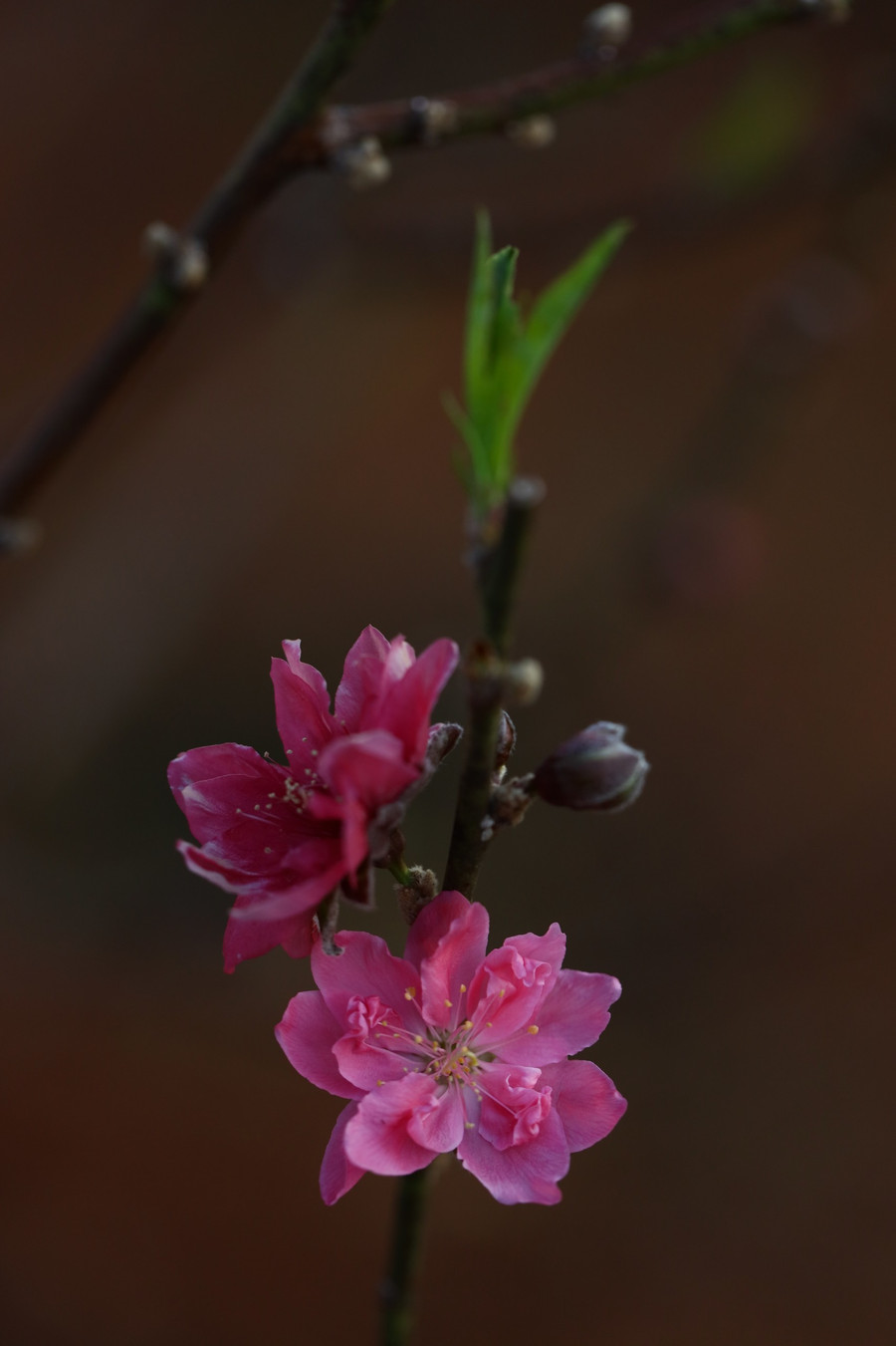 Ảnh: Chiêu Ly Ảnh: Chiêu Ly