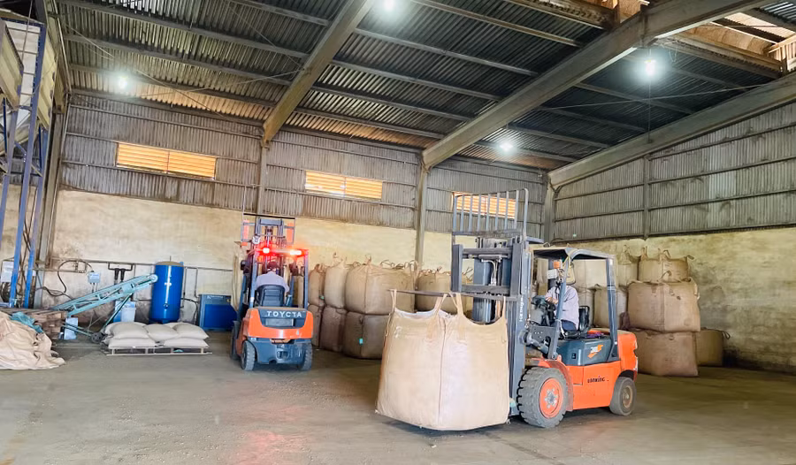 Cà phê là mặt hàng xuất khẩu chủ lực của tỉnh. Ảnh: V.T