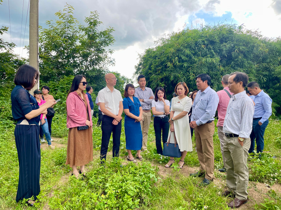 Theo đề xuất, Trung tâm logistics tại xã Đak Ta Ley (huyện Mang Yang) có quy mô 511 ha được thực hiện theo 2 giai đoạn, giai đoạn 1 là 265 ha. Ảnh: Vũ Thảo