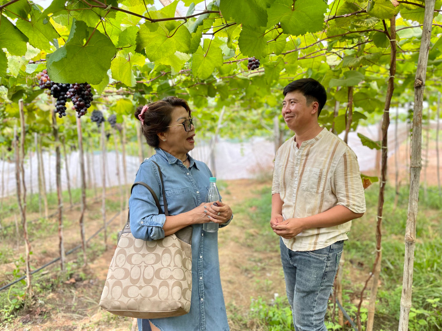 Bà Bùi Thị Hồng (tổ 1, phường Hội Thương, TP. Pleiku) trò chuyện với chủ vườn. Ảnh: V.T