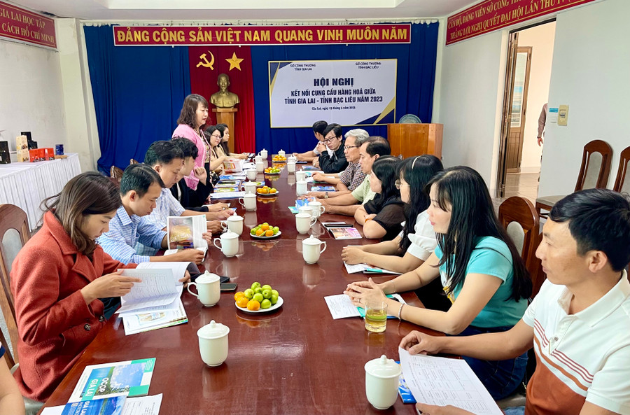 Quang cảnh Hội nghị kết nối cung cầu hàng hóa giữa tỉnh Gia Lai-tỉnh Bạc Liêu năm 2023. Ảnh: V.T