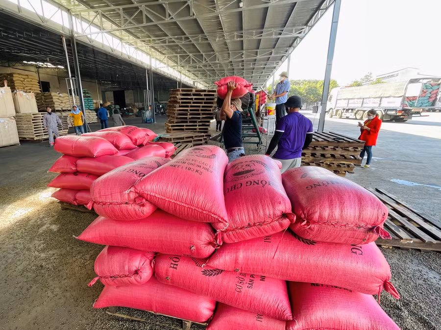 Cà phê là mặt hàng xuất khẩu chủ lực của tỉnh. Ảnh: V.T