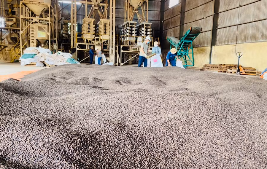 Nhiều mặt hàng xuất khẩu chủ lực của tỉnh đã tận dụng được lợi thế từ các Hiệp định thương mại tự do. Ảnh: V.T