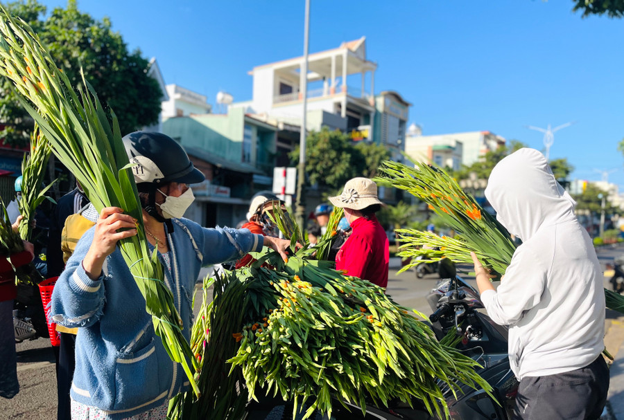 Giá hoa lay ơn ngày mùng 3 Tết giảm mạnh, hiện chỉ 15-45 ngàn đồng/bó. Ảnh: Vũ Thảo Giá hoa lay ơn ngày mùng 3 Tết giảm mạnh, hiện chỉ 15-45 ngàn đồng/bó. Ảnh: Vũ Thảo