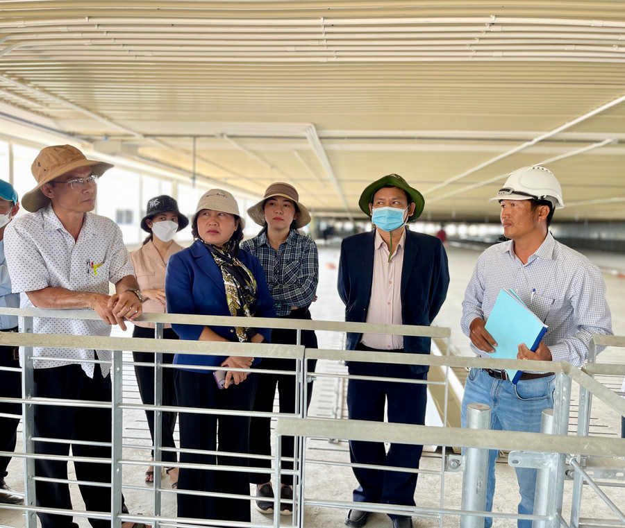 Phó Chủ tịch HĐND tỉnh Ayun H'Bút trao đổi với nhà đầu tư về dự án chăn nuôi heo đang triển khai xây dựng trên địa bàn. Ảnh: V.T