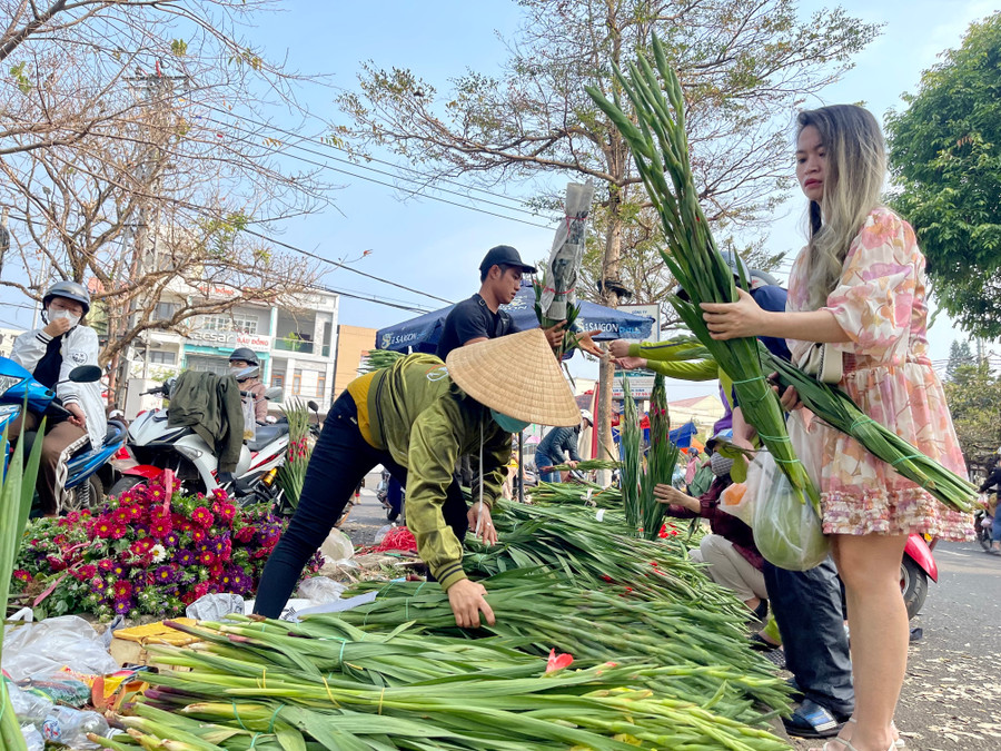 Hoa lay ơn đang có giá 30-80 ngàn đồng/bó. Ảnh: Vũ Thảo Hoa lay ơn đang có giá 30-80 ngàn đồng/bó. Ảnh: Vũ Thảo