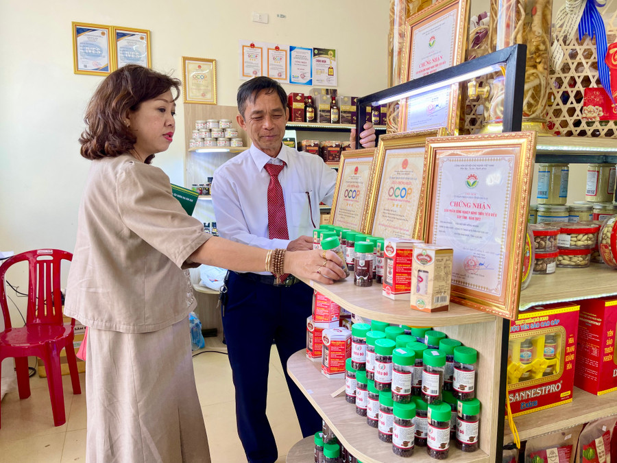 Điểm bán hàng Việt Nam tại Đak Đoa trưng bày và bày bán các sản phẩm OCOP, sản phẩm đặc sản, đặc trưng của tỉnh. Ảnh: V.T