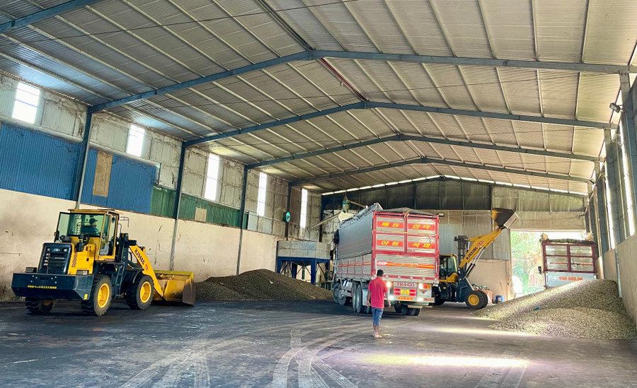 Kho sơ chế nông sản của Công ty TNHH một thành viên Quang Sáng Đức Cơ. Ảnh: V.T
