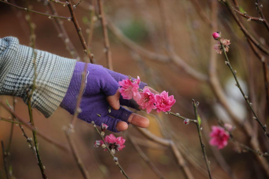 Ảnh: Chiêu Ly Ảnh: Chiêu Ly