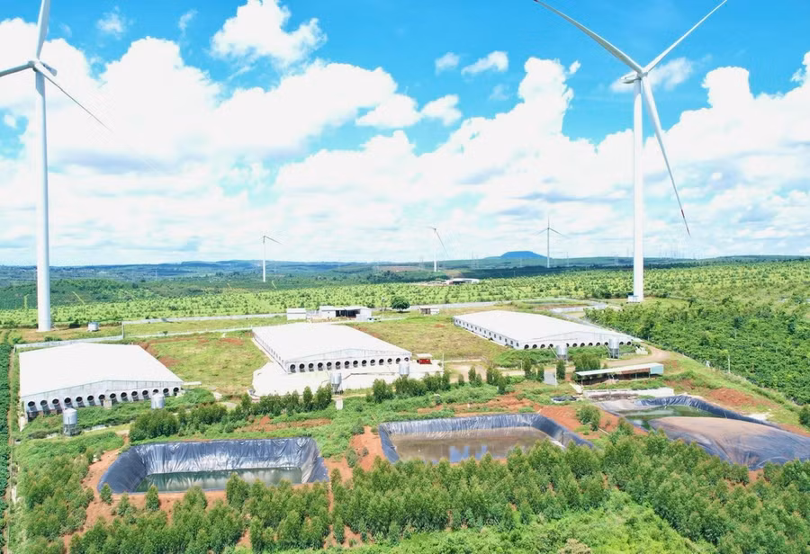 Người dân làng O Gia (xã Ia Pếch, huyện Ia Grai, tỉnh Gia Lai) phản ánh các cơ sở này hoạt động chăn nuôi có hành vi lén lút xả thải ra môi trường tự nhiên làm ô nhiễm giọt nước dùng chung của làng. Ảnh: Minh Phương