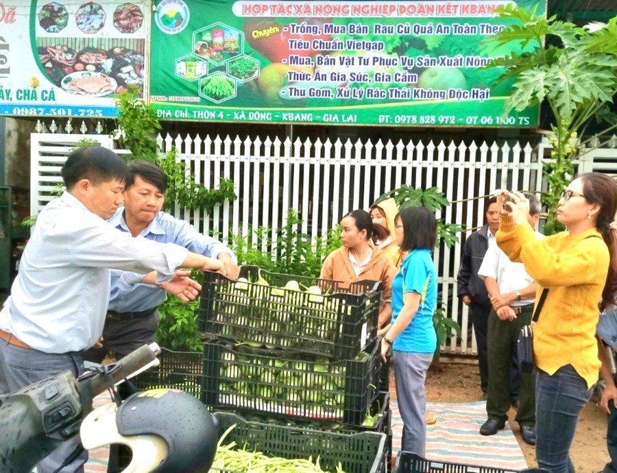 Đa phần các HTX của huyện Kbang hoạt động cầm chừng, chưa mang lại hiệu quả cao. Ảnh: Minh Nguyễn Đa phần các HTX của huyện Kbang hoạt động cầm chừng, chưa mang lại hiệu quả cao. Ảnh: Minh Nguyễn