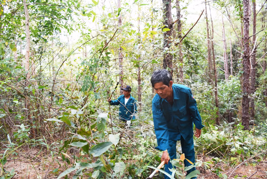 Nhóm hộ làng Tơ Vơn (xã Ia Khươl, huyện Chư Păh) tham gia nhận khoán quản lý, bảo vệ rừng để cải thiện sinh kế, nâng cao thu nhập. Ảnh: Minh Phương