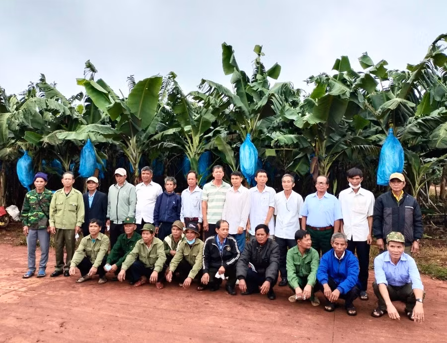 Phòng Dân tộc huyện Kbang tổ chức cho đội ngũ người có uy tín tham quan, học tập mô hình phát triển kinh tế hiệu quả trên địa bàn tỉnh. Ảnh: Minh Phương