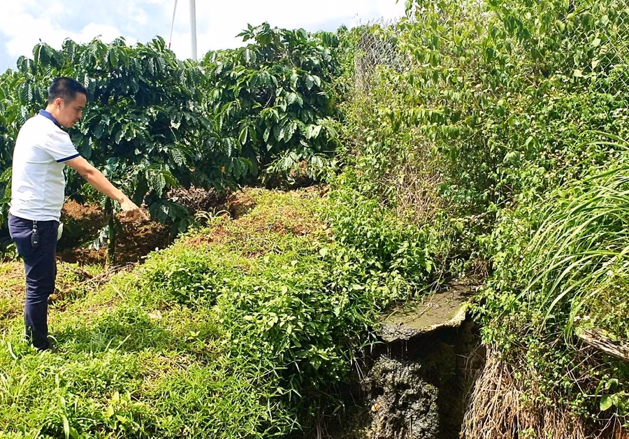 Trước thời điểm bị xử phạt, P.V phát hiện vị trí nước thải từ bên trong khuôn viên chung của các cơ sở chăn nuôi vẫn chảy ra môi trường tự nhiên, bốc mùi hôi thối. Ảnh: Minh Phương