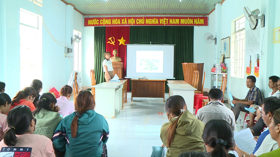 Cán bộ kỹ thuật của Trung tâm Dịch vụ nông nghiệp thị xã Ayun Pa tập huấn bệnh khảm lá virus và các giải pháp phòng trừ bệnh trên cây mì. Ảnh: Nguyễn Sang