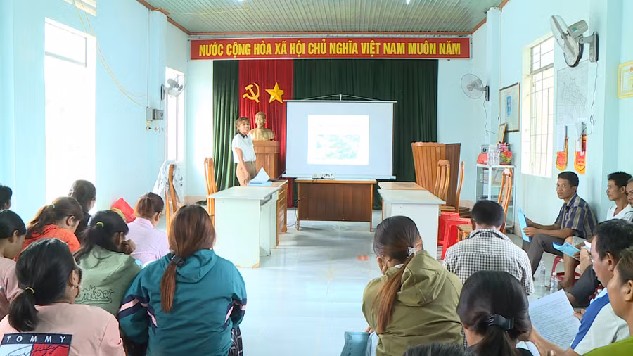 Cán bộ kỹ thuật của Trung tâm Dịch vụ nông nghiệp thị xã Ayun Pa tập huấn bệnh khảm lá virus và các giải pháp phòng trừ bệnh trên cây mì. Ảnh: Nguyễn Sang