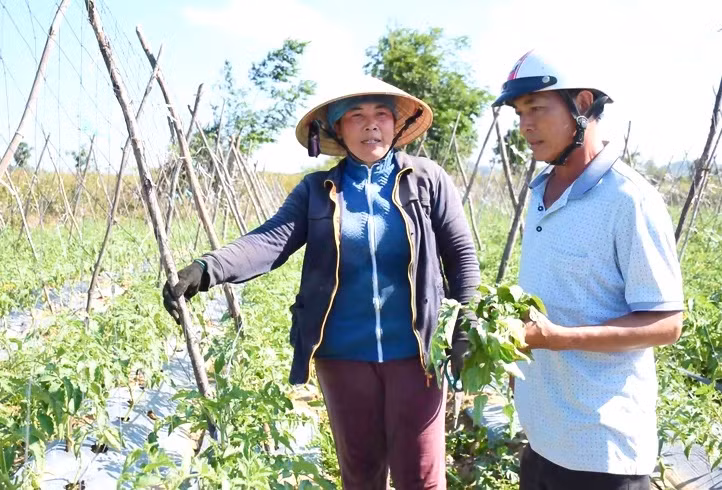 Ông Nguyễn Thành Trung-Giám đốc HTX Nông nghiệp Đoàn Kết Kbang (xã Đông) động viên thành viên hợp tác xã tích cực sản xuất, tham gia chuỗi cung ứng sản phẩm nông nghiệp. Ảnh: Minh Nguyễn