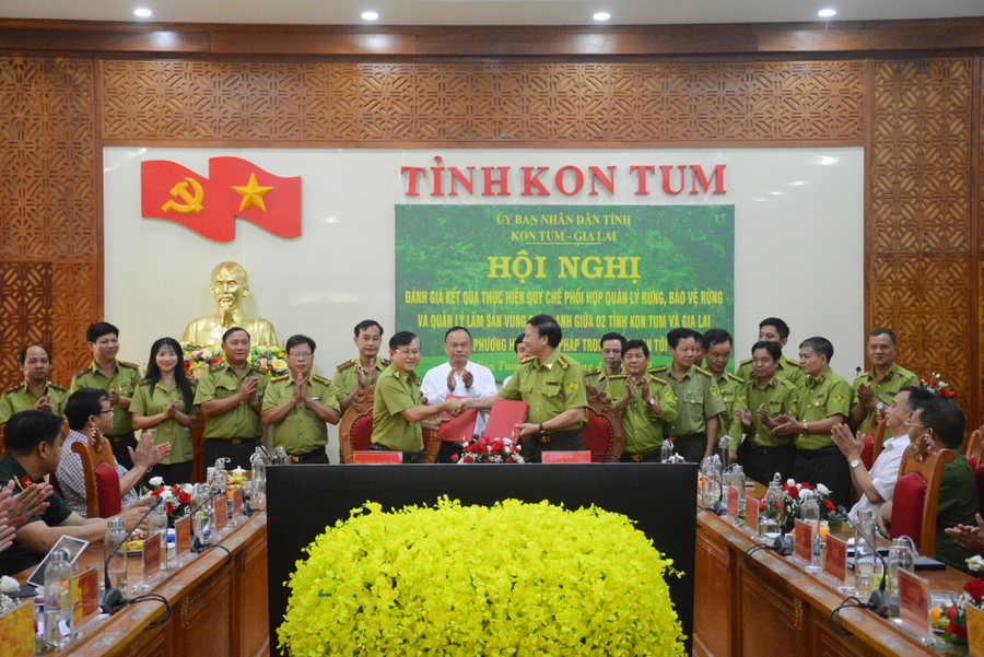 Chi cục Kiểm lâm tỉnh Gia Lai và tỉnh Kon Tum ký kết quy chế phối hợp quản lý, bảo vệ và phát triển rừng, xử lý vi phạm pháp luật về lâm nghiệp tại vùng giáp ranh giữa 2 tỉnh. Ảnh: Minh Phương Chi cục Kiểm lâm tỉnh Gia Lai và tỉnh Kon Tum ký kết quy chế phối hợp quản lý, bảo vệ và phát triển rừng, xử lý vi phạm pháp luật về lâm nghiệp tại vùng giáp ranh giữa 2 tỉnh. Ảnh: Minh Phương