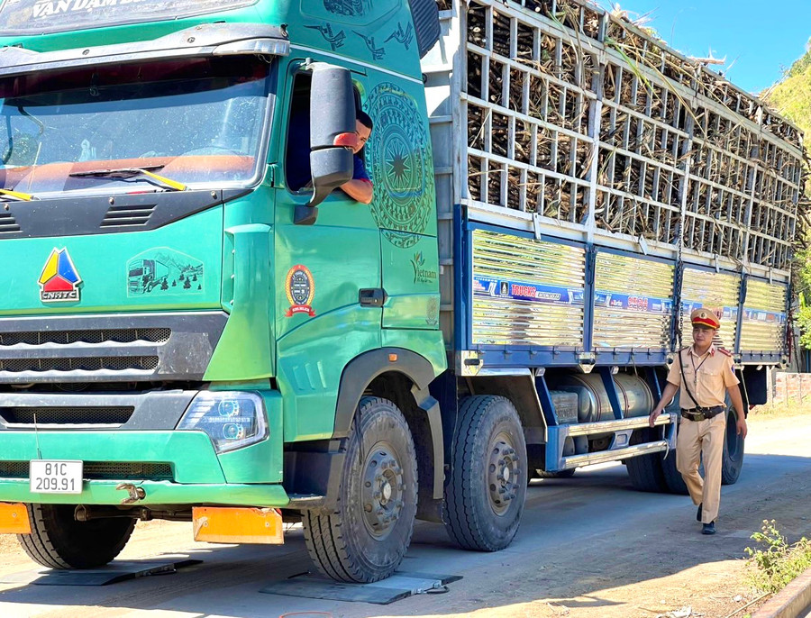 Lực lượng Cảnh sát Giao thông-Trật tự Công an huyện Phú Thiện tiến hành cân tải trọng các xe chở mía đi qua địa bàn. Ảnh: Minh Nguyễn Lực lượng Cảnh sát Giao thông-Trật tự Công an huyện Phú Thiện tiến hành cân tải trọng các xe chở mía đi qua địa bàn. Ảnh: Minh Nguyễn