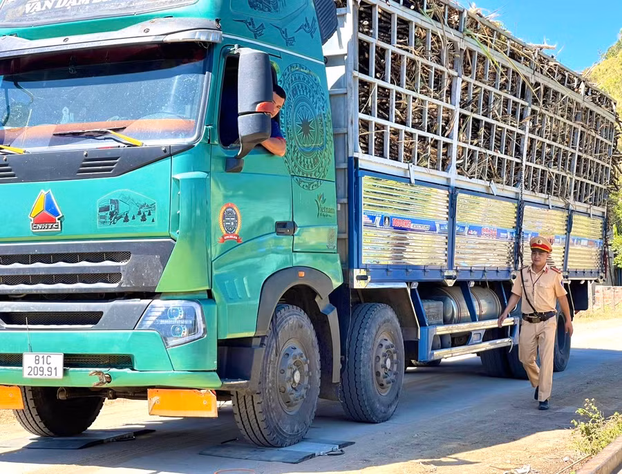 Lực lượng Cảnh sát Giao thông-Trật tự Công an huyện Phú Thiện tiến hành cân tải trọng các xe chở mía đi qua địa bàn. Ảnh: Minh Nguyễn