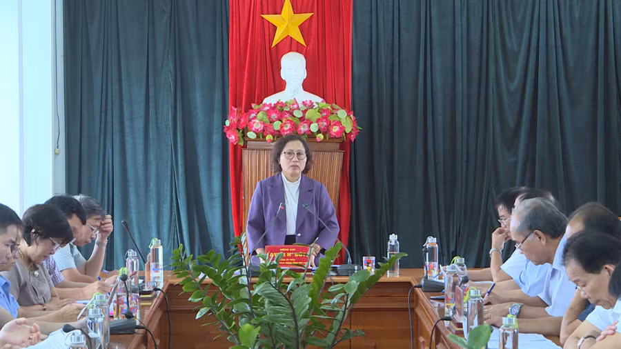 Phó Chủ tịch HĐND tỉnh Ayun H’Bút phát biểu tại buổi làm việc. Ảnh: T.D