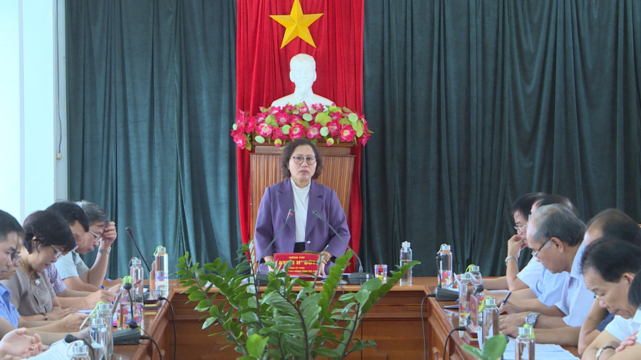 Phó Chủ tịch HĐND tỉnh Ayun H’Bút phát biểu tại buổi làm việc. Ảnh: T.D