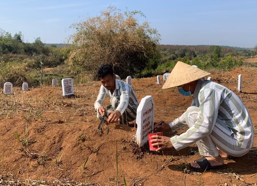 Dọn dẹp mộ cho phạm nhân đã chết được chôn cất tại khu vực nghĩa địa do Phân trại K5 quản lý. Ảnh: T.D