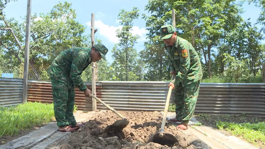 Cán bộ, chiến sĩ Đồn biên phòng Ia Púch cuốc đất trồng rau xanh. Ảnh: T.D Cán bộ, chiến sĩ Đồn biên phòng Ia Púch cuốc đất trồng rau xanh. Ảnh: T.D