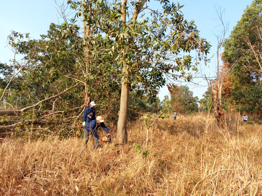 TP. Pleiku tổ chức cưỡng chế thu hồi đất giao khoán tại phường Ia Kring. Ảnh: Thiên Di TP. Pleiku tổ chức cưỡng chế thu hồi đất giao khoán tại phường Ia Kring. Ảnh: Thiên Di