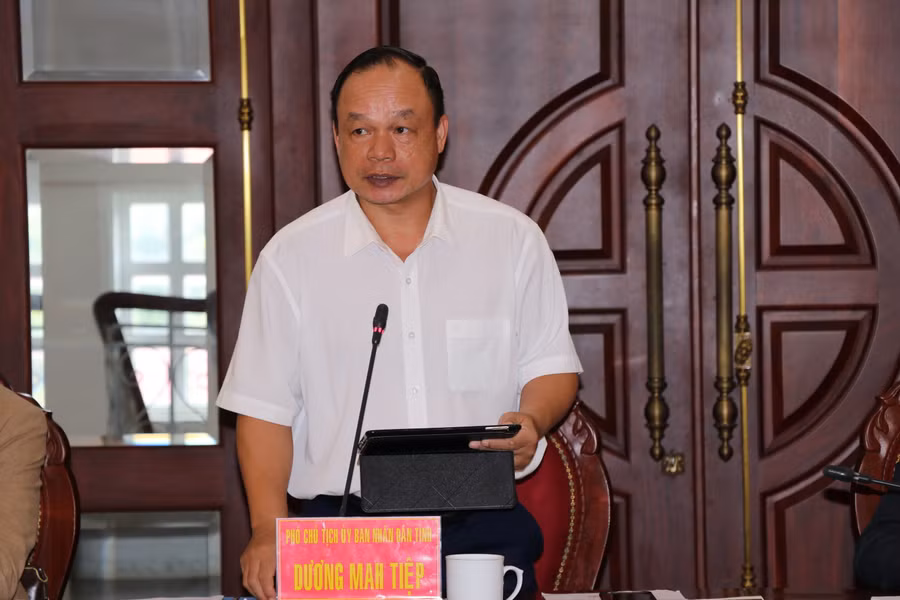 Phó Chủ tịch UBND tỉnh Dương Mah Tiệp phát biểu tại cuộc họp. Ảnh: T.D