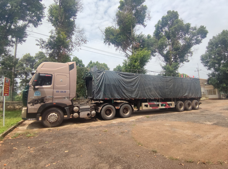 Chiếc xe đầu kéo chở gỗ trái phép. Ảnh: Nguyễn Tú Chiếc xe đầu kéo chở gỗ trái phép. Ảnh: Nguyễn Tú